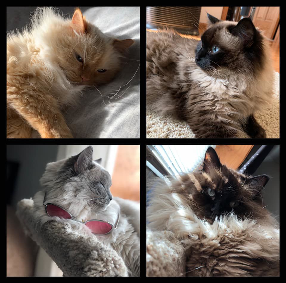 Those sweet faces!